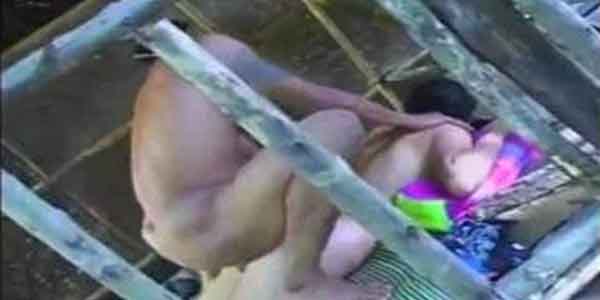 หนังเอ็กไทย กระท่อมรัก แอบนัดเย็ดชวนสาวไทยวัยรุ่นมานอนเล่นเสียวล่อกันนอกสถานที่